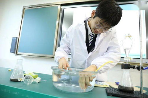 启外教育 中高考后的新起点，通往世界名校的桥梁